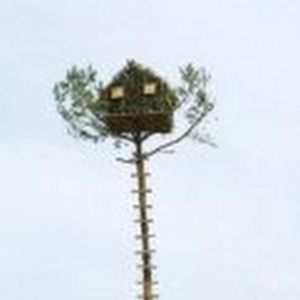 Meet your Posher, Gail